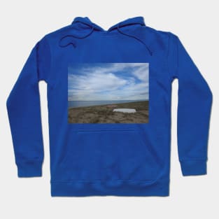 Boat Wrecked Hoodie